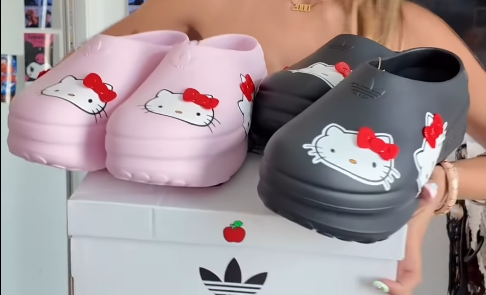 Bộ sưu tập dép, quần áo hình Hello Kitty