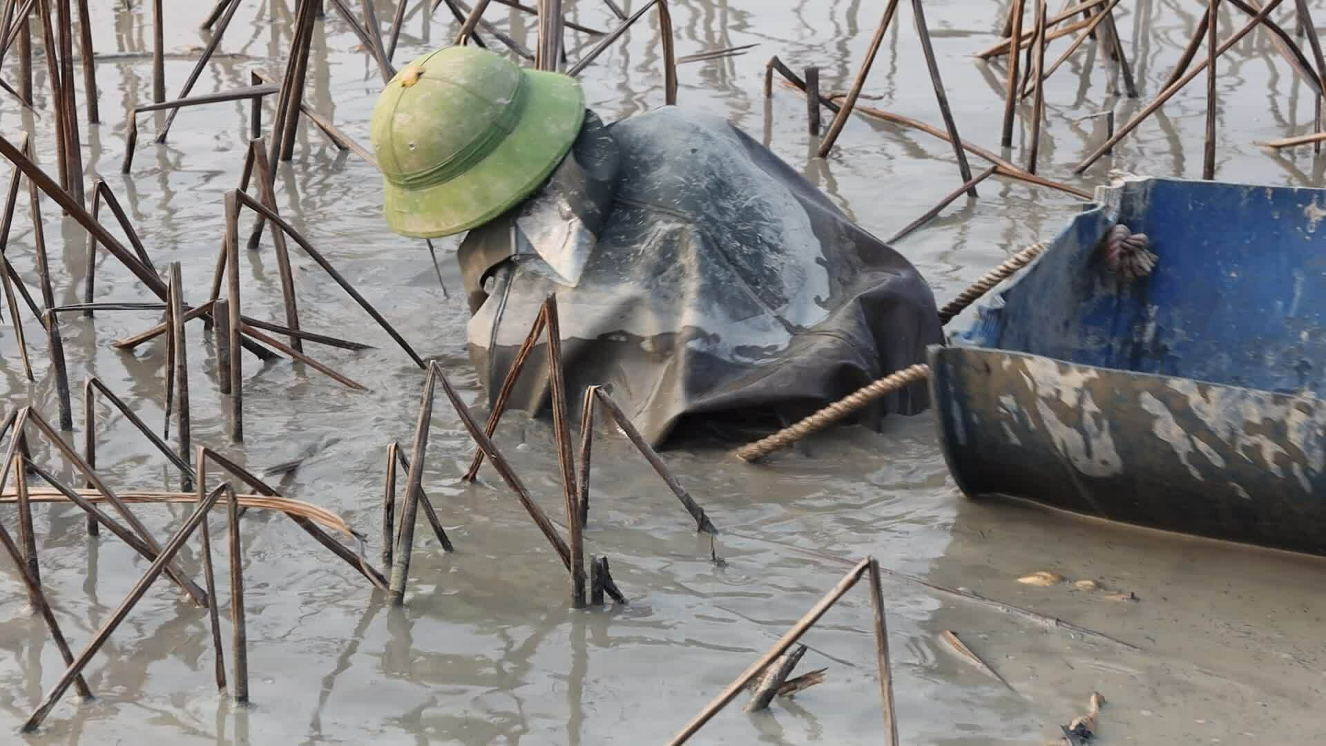 Sục bùn thu hoạch củ sen