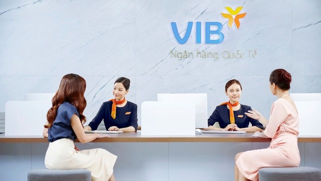 Lãnh đạo ngân hàng và người nhà liên tục mua cổ phiếu VIB ảnh 1