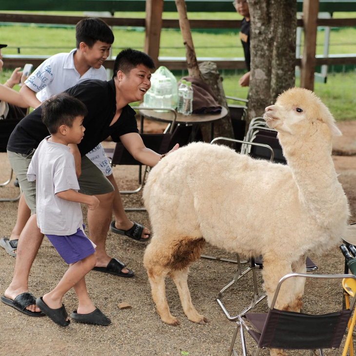 Miễn phí tham quan nhiều điểm du lịch trong ngày khai mạc Festival hoa Đà Lạt - Ảnh 1.