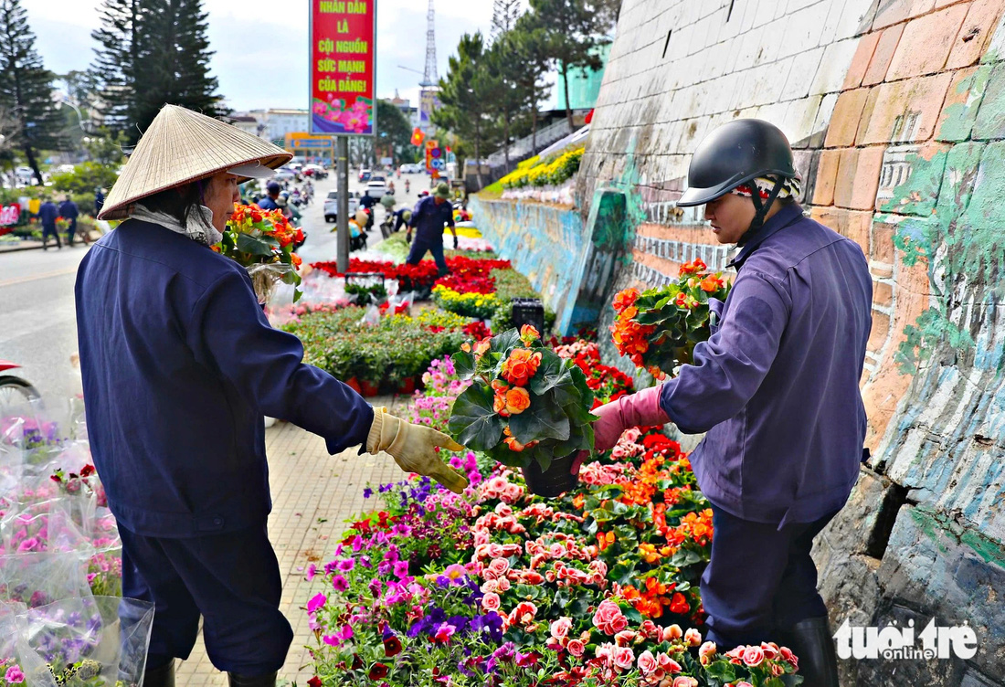 Festival hoa Đà Lạt chưa khai mạc, du khách đã nhộn nhịp check-in - Ảnh 4.