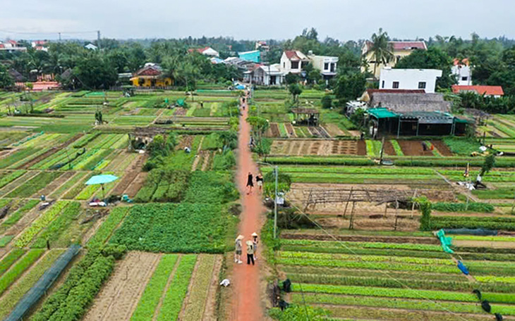 Du khách rục rịch 'săn' tour về Đà Nẵng, Hội An dịp cuối năm - Ảnh 4.