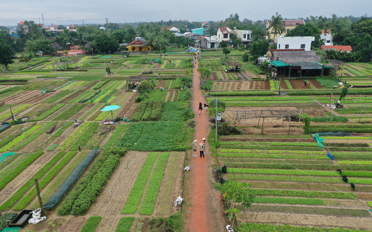 Thứ trưởng Bộ Văn hóa, Thể thao và Du lịch nói gì về 'làng chạy' thành làng du lịch tốt nhất? - Ảnh 4.