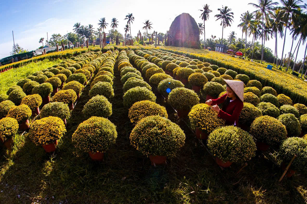 Sắp có lễ hội hoa - kiểng lớn ở Bến Tre, nông dân tỉ phú "lấn sân" làm du lịch- Ảnh 3.