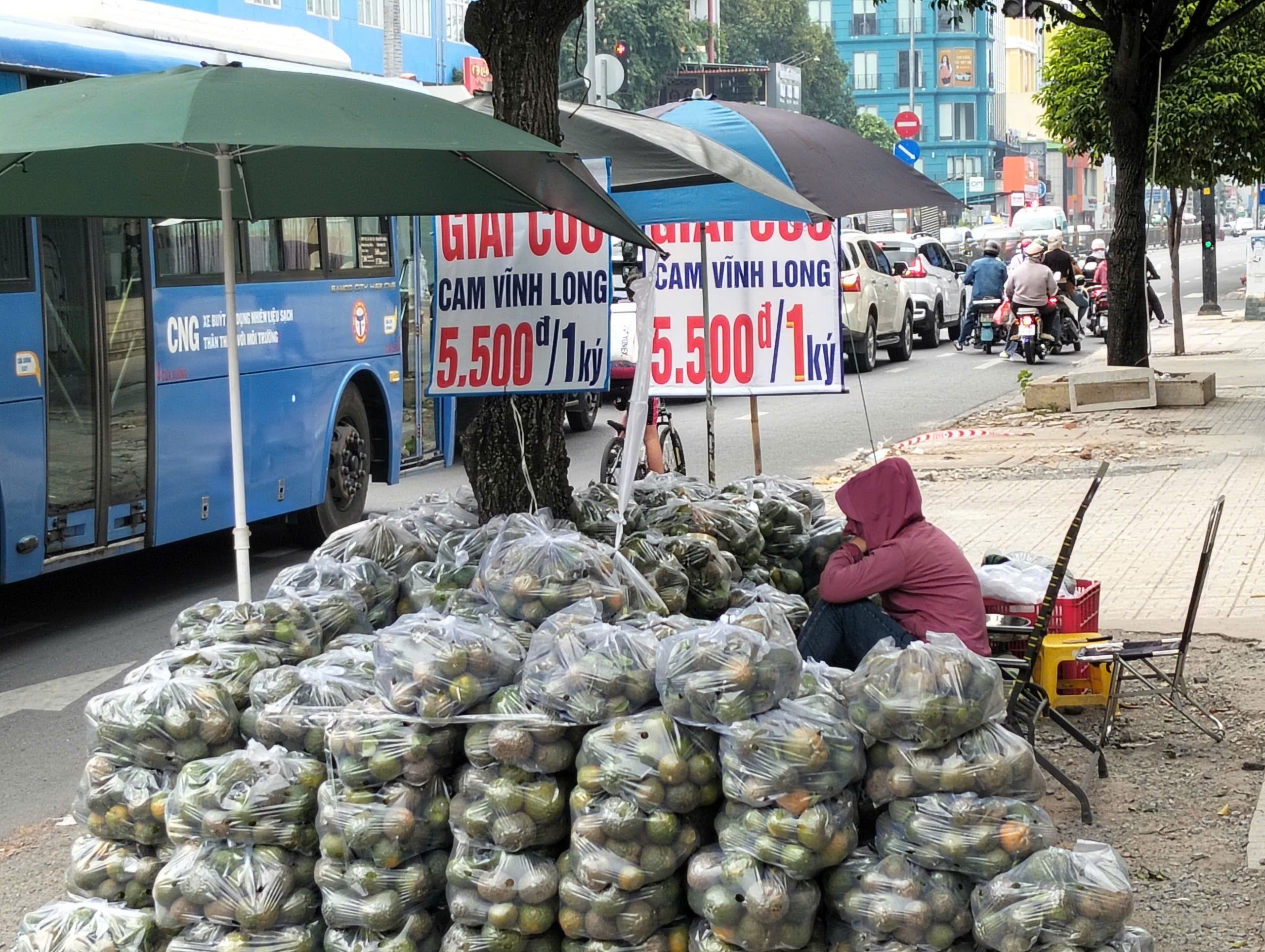 Vì sao khắp nơi ở TP HCM vẫn xuất hiện hình ảnh "giải cứu cam sành"?- Ảnh 4.