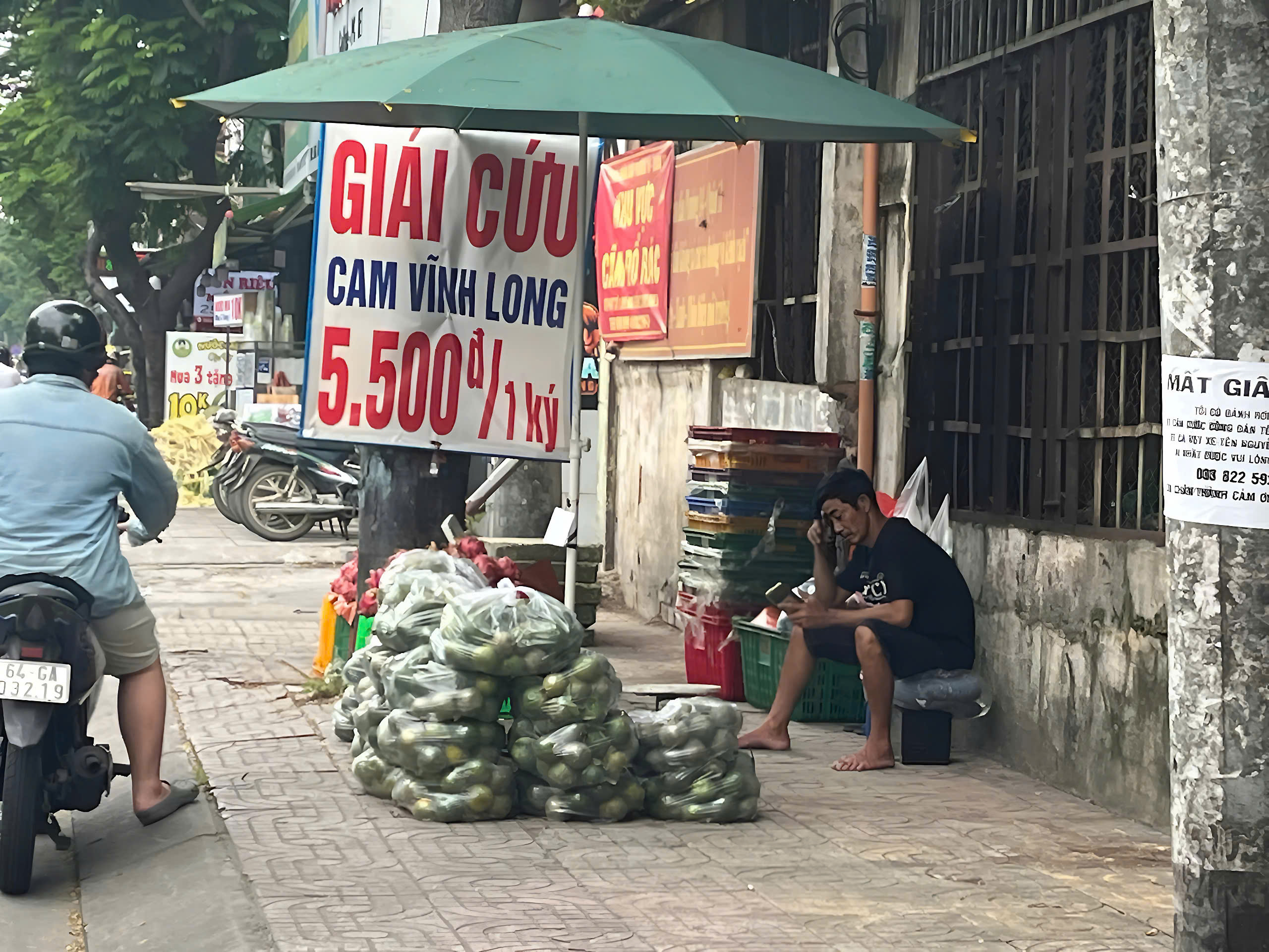 Vì sao khắp nơi ở TP HCM vẫn xuất hiện hình ảnh "giải cứu cam sành"?- Ảnh 3.