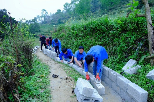 Phát triển, kết nối hoạt động tình nguyện trên không gian mạng ảnh 6