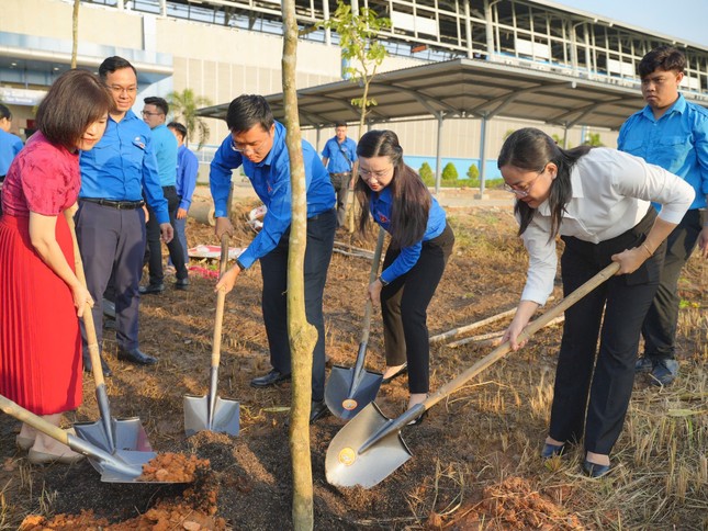 Tuổi trẻ TPHCM trồng cây xanh chào Xuân Ất Tỵ 2025 ảnh 3