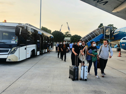 Chộn rộn máy bay, tàu xe Tết