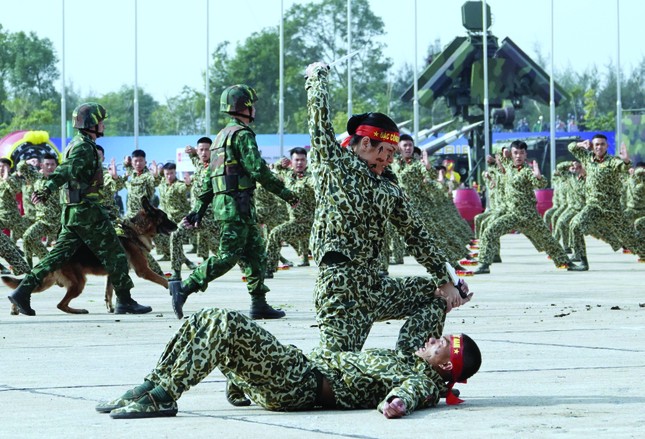 Hào khí Việt Nam ảnh 6