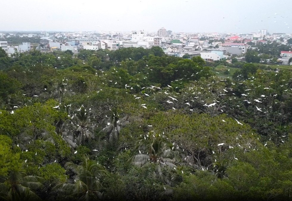 'Đột nhập' vườn chim có vị trí đặc biệt nhất Việt Nam ảnh 1